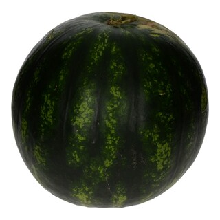 - | ΚΑΡΠΟΥΖΙΑ ΚΑΡΠΟΥΖΙΑ ΕΙΣΑΓΩΓΗΣ