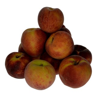 - | ΡΟΔΑΚΙΝΑ ΕΙΣΑΓΩΓΗΣ