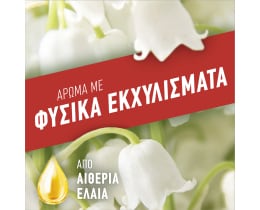 AJAX | Υγρό Καθαρισμού Fete Des Fleurs Λουλούδια Άνοιξης 1lt 1+1 Δώρο