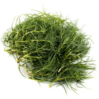 - | ΧΟΡΤΑ ΑΡΜΥΡΑ ΕΛΛΗΝΙΚΑ