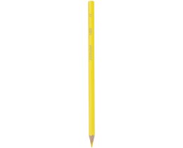 BIC | Μολύβια Ακουαρέλας Kids Aquacouleur Πολύχρωμα 12 Τεμάχια
