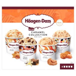HAAGEN DAZS | Ice Cream Caramel Collection 4 Mini Cups 320g