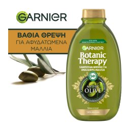 BOTANIC THERAPY | Σαμπουάν Αφυδατωμένα Μαλλιά Βαθιάς Θρέψης 400ml