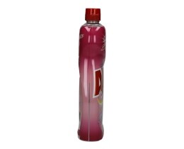AJAX | GEL ΓΕΝΙΚΟΥ ΚΑΘΑΡΙΣΜΟΥ FLORAL FRESHNESS 750 ML