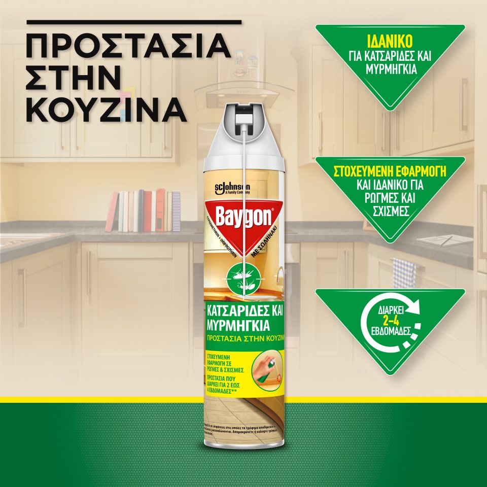 BAYGON Κατσαριδικτόνο με Σωληνάκι 400ml