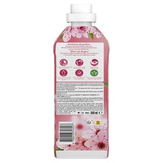 LENOR | Συμπυκνωμένο Μαλακτικό Cherry Blossom 40 Μεζούρες