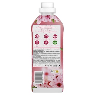 LENOR | Συμπυκνωμένο Μαλακτικό Cherry Blossom 40 Μεζούρες