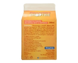 ΕΠΙΛΟΓΕΣ ΒΛΑΧΑΚΗ | SMOOTHIE ΠΡΩΤΕΙΝΗΣ ΠΟΡΤΟΚΑΛΙ 300ΓΡ