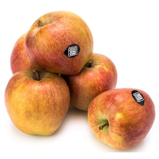 - | ΜΗΛΑ ΤΖΟΝΑΓΚΟΛΝΤ ΕΛΛΗΝΙΚΑ