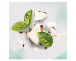 HERBAL ESSENCES | Conditioner Coconut Milk 200 ml