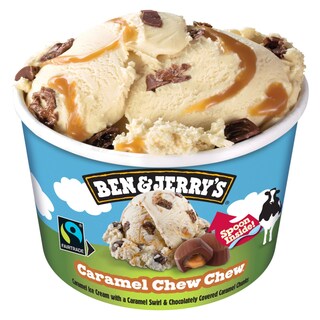 BEN & JERRY'S | ICE CREAM  100ML
