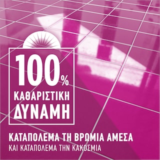 AJAX | Υγρό Καθαρισμού Fete Des Fleurs Ρόδο Αυγής 1lt 1+1 Δώρο