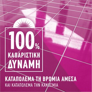 AJAX | Υγρό Καθαρισμού Fete Des Fleurs Ρόδο Αυγής 1lt 1+1 Δώρο