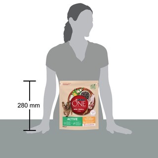 PURINA ONE | Σκυλοτροφή One Mini Active Κοτόπουλο Με Ρύζι 800 gr