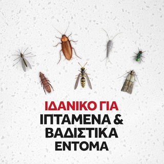 RAID | Εντομοκτόνο Spray Multi Insects 400ml