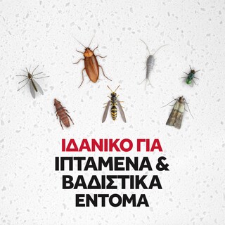 RAID | Insecticide Spray Multi Insects 400ml
