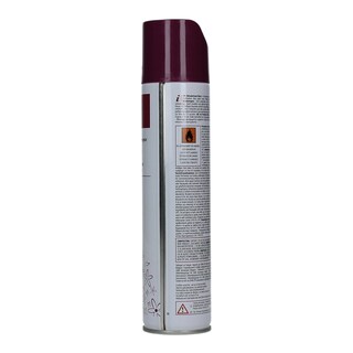 365 | ΑΠΟΣΜΗΤΙΚΟ ΧΩΡΟΥ SPRAY POT POURI 300 ML