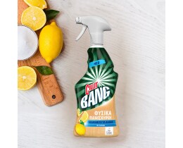 CILLIT BANG | Spray Καθαρισμού Αλάτων Φυσικά Πανίσχυρο Λεμόνι 750ml
