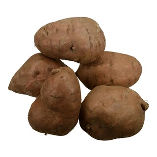 - | ΓΛΥΚΟΠΑΤΑΤΕΣ ΚΟΚΚΙΝΕΣ ΕΙΣΑΓΩΓΗΣ