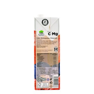 ΟΙΚΟΓΕΝΕΙΑ ΧΡΙΣΤΟΔΟΥΛΟΥ | Juice Drink Pomegranate Blueberry Raspberry 1lt