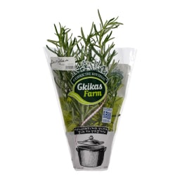 - | ΔΕΝΔΡΟΛΙΒΑΝΟ ΣΕ ΓΛΑΣΤΡΑΚΙ ΤΕΜΑΧΙΟ ΕΛΛΗΝΙΚΟ 1 TEM