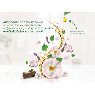 AIRWICK | Αρωματικό Χώρου Freshmatic Wild Rose & Patchouli Refill 250ml