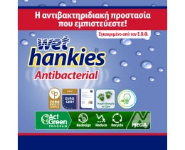 WET HANKIES | Υγρά Μαντηλάκια Αντιβακτηριδιακά 15 Tεμάχια 2+2 Δώρο