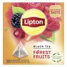 LIPTON