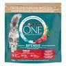 PURINA ONE