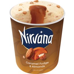 Παγωτό Vanilla Caramel Fudge 317g