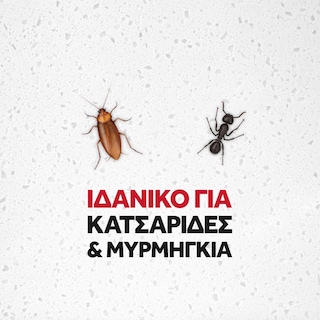 BAYGON | Κατσαριδοκτόνο Spray 2σε1 Σωληνάκι 400ml