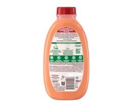 BOTANIC THERAPY | Σαμπουάν Maple Healer Ταλαιπωρημένα Μαλλιά 400ml