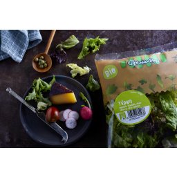 ΦΡΕΣΚΟΥΛΗΣ | SALAD TERPSI ΒΙΟ FRESKOULIS 180 GR ΤΕΡΨΗ ΒΙΟ 180 GR