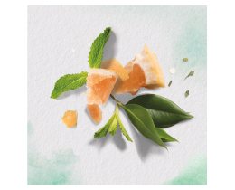 HERBAL ESSENCES | Conditioner White Grapefruit & Mosa Mint 200 ml