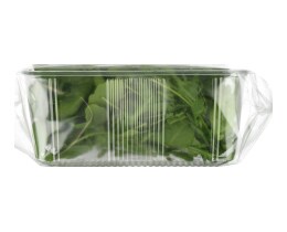 ALMAVERDE BIO | Ρόκα Βιολογική 80g