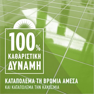 AJAX | Υγρό Καθαρισμού Fete Des Fleurs Λουλούδια Άνοιξης 1lt 1+1 Δώρο