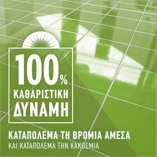 AJAX | Υγρό Καθαρισμού Fete Des Fleurs Λουλούδια Άνοιξης 1lt 1+1 Δώρο