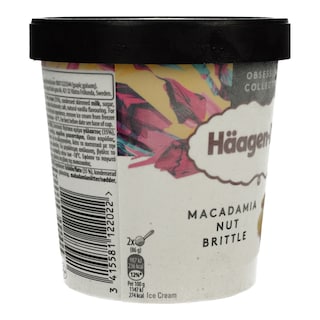 HAAGEN DAZS | Ice Cream Macadamia Nut Brittle 400g