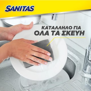 SANITAS | Σφουγγάρι Κουζίνας Silver Block Αντιβακτηριδιακό 2 Τεμάχια