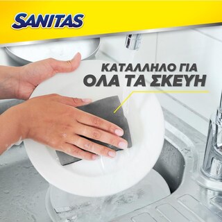 SANITAS | Σφουγγάρι Κουζίνας Silver Block Αντιβακτηριδιακό 2 Τεμάχια