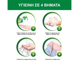DETTOL | Κρεμοσάπουνο Aloe Vera Ανταλλακτικό 250ml