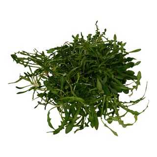 - | GREENS DANDELIONS