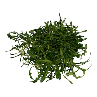 - | GREENS DANDELIONS