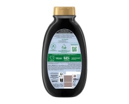 BOTANIC THERAPY | Σαμπουάν Magnetic Charcoal 400ml