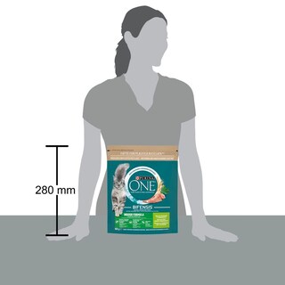 PURINA ONE | Γατοτροφή Indoor Γαλοπούλα 800g
