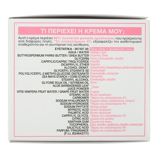 GARNIER | Κρέμα Προσώπου Hyaluronic Aloe Cream 50ml