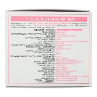 GARNIER | Κρέμα Προσώπου Hyaluronic Aloe Cream 50ml