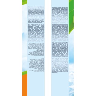 BABYLINO | Πάνες Μωρού Sensitive Χαμομήλι Νο4+ 9-20kg 19 Τεμάχια