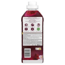 LENOR | Συμπυκνωμένο Μαλακτικό Ruby Jasmine 40 Μεζούρες