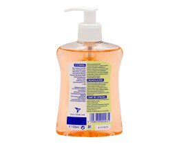 DETTOL | Κρεμοσάπουνο Αντιβακτηριδιακό Grapefruit Αντλία 250ml